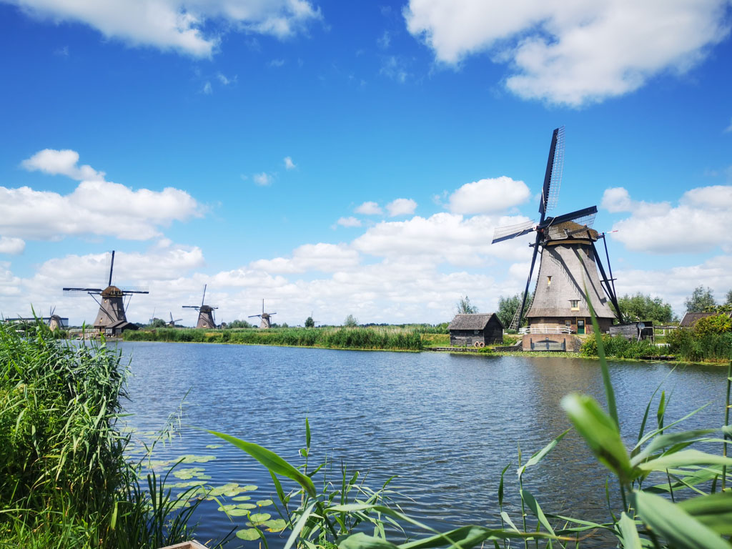 Jede Menge Windmühlen stehen im wunderschönen Umfeld bei Kinderdijk. © Günter Nebl