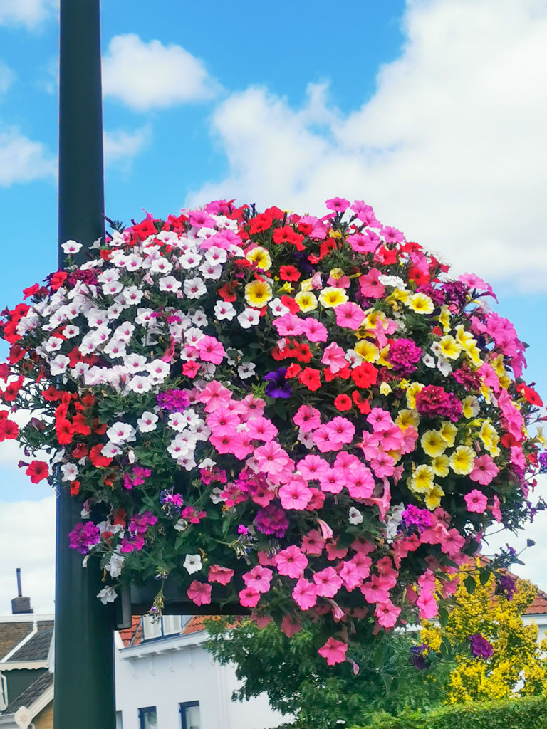 Und überall erfreuen Blumen, wofür gibt es Laternenmasten sonst? © Günter Nebl