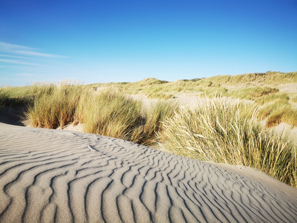 Dünen sind etwas vom Schönsten der Welt. © Günter Nebl