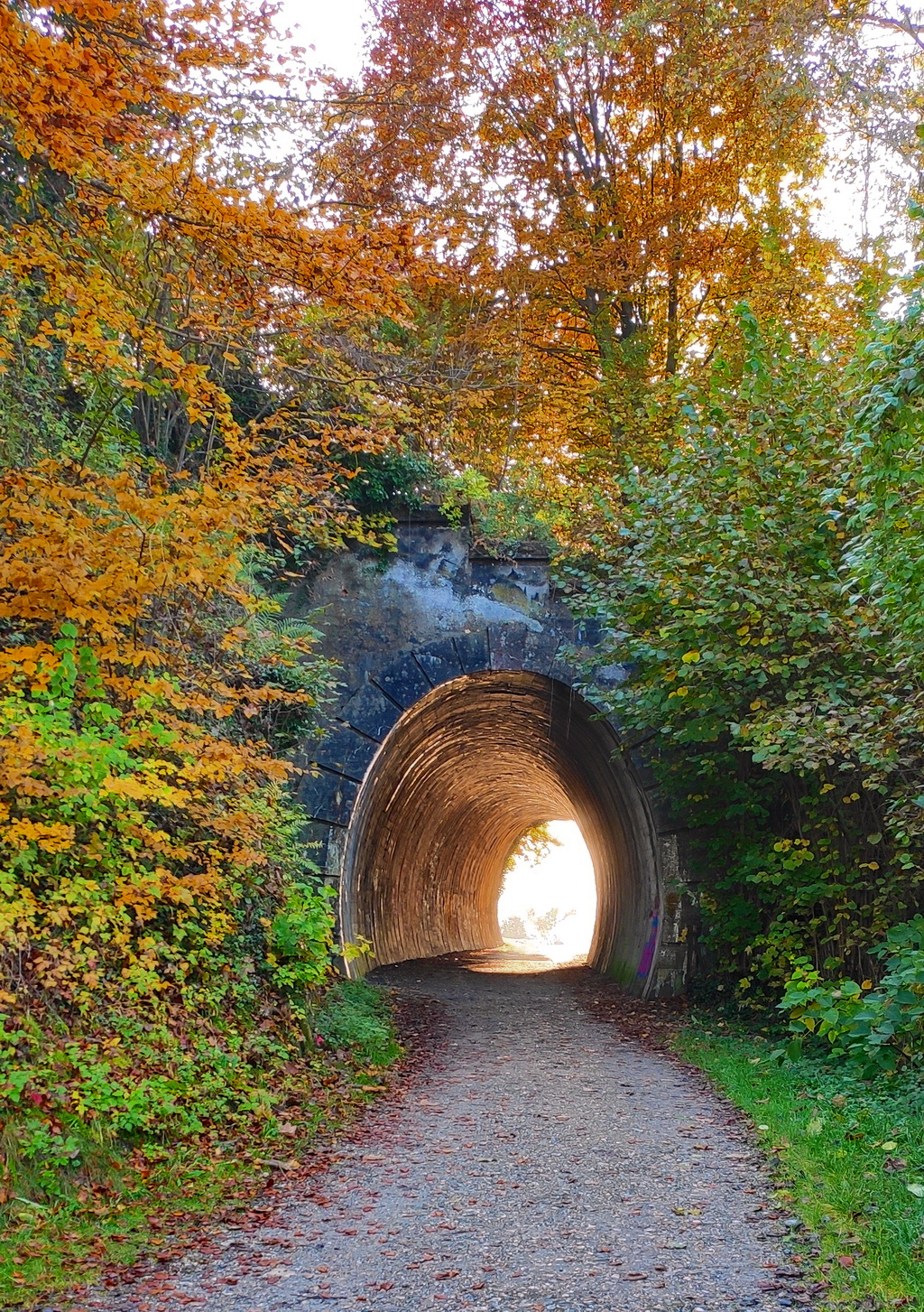 Tunnel Eisenbahnbrücke Wasserburg